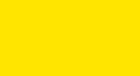 U2644-VL-Žltý-šafran